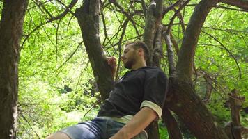 el hombre dormido en el árbol en el bosque. el joven hombre caídas dormido en el árbol. video