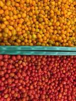 Small Tomatoes lying on a pile on top of each other, tomato texture. Selective focus. photo