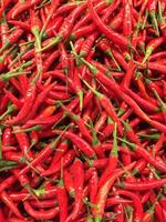 Red hot chilli peppers pattern texture background. Close up. Landscape. A backdrop ofRed hot chilli peppers. Street vegetable market. Group of Red hot chilli peppers photo