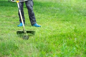 A male gardener mows the green grass of the lawn in the backyard with a gasoline mower. Trimmer for the care of a garden plot photo