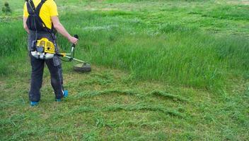 A male gardener mows the green grass of the lawn in the backyard with a gasoline mower. Trimmer for the care of a garden plot photo