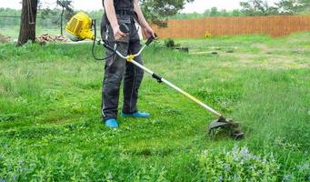 A male gardener mows the green grass of the lawn in the backyard with a gasoline mower. Trimmer for the care of a garden plot photo