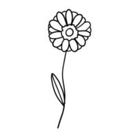 Flower in outline doodle flat style for coloring. Simple floral element plant leaves decorative design. Hand drawn line art. Creative sketch. Vector illustration isolated on white background.