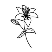 Flower in outline doodle flat style for coloring. Simple floral element plant leaves decorative design. Hand drawn line art. Creative sketch. Vector illustration isolated on white background.