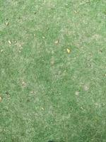 Green grass texture with fallen leaves. Abstract background and texture for design. photo