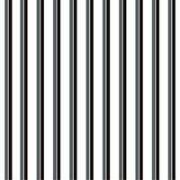 Double stripe seamless pattern, gray, white, can be used in the design of fashion clothes. Bedding sets, curtains, tablecloths, notebooks, gift wrapping paper photo