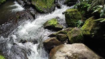 klar Strom Laufen durch Stein Felsbrocken. Wasser klar Strom Fluss fließend im das tief Wald. sao miguel, Azoren Inseln video