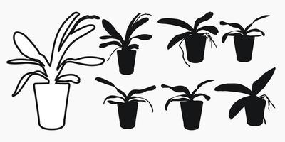 Flower realistic plant pot silhouette vector set. Orchid, phalaenopsi