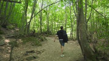 resande äventyrare gående i ett okänd skog. ung man reser med ryggsäck i de skog. video