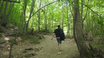 Traveler adventurer walking in an unknown forest. Young man traveling with backpack in the forest. video