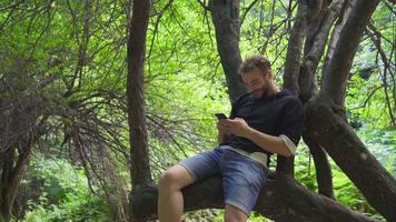 Young man is sitting on the tree. Young man climbing a tree and texting on the phone on the tree. video