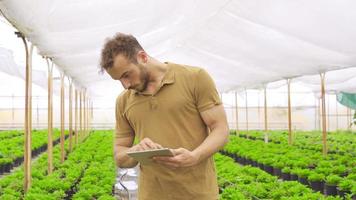 moderno floristica. fioraio Lavorando con tavoletta nel serra. giovane uomo Lavorando nel serra fare analisi con il suo tavoletta. video