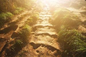 Golden sunlight shining down on the ground and grasses floor for Encouragement, hopefully and freedom of new life. photo