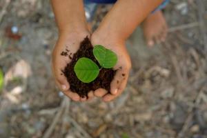 Child holding young seedling plant in hand for planting in soil. Earth day concept photo