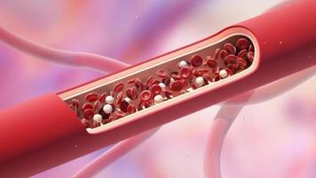 Red blood cells flow inside an artery, cross section artery view. Healthy blood flow. Medical scientific concept. Transfer of important elements into the blood to protect the body, 3d Animation video