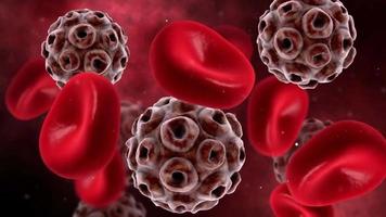 visualizzazione di HPV virus con rosso sangue cellule sangue flusso animazione video