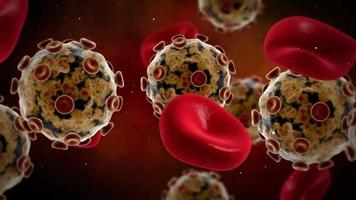 Visualisierung von hpv Virus mit rot Blut Zellen Blut fließen biomedizinisch Animation video