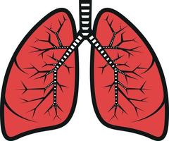 vector imagen de pulmones. imagen de humano Organo