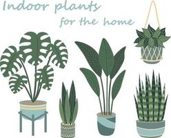 A set of potted indoor plants. Potted plants for a flat-style home vector