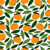 Botanical illustration with tangerines and leaves. Seamless fruit pattern vector