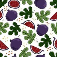 Seamless pattern with figs and leaves. Botanical pattern. Doodle style vector image