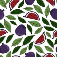 Seamless pattern with figs and leaves. Botanical pattern. Doodle style vector image