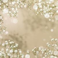 blanco Gypsophila flores en beige antecedentes con bokeh efecto y Copiar espacio foto