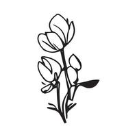 Flower Vector Illustration