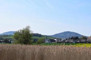 ver a través de el pantano a un pueblo en primavera foto