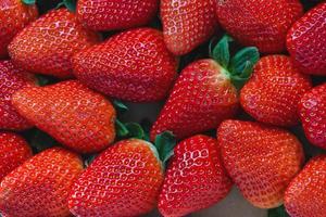 Fresh harvested strawberries closeup photo