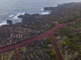 Drone view of Vineyard Landscape of Pico, the Azores photo