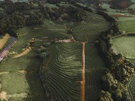 Drone view of Gorreana Tea Plantation in Sao Miguel, the Azores photo