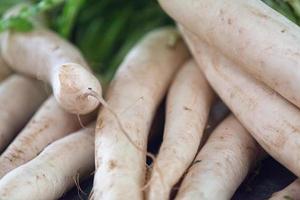 apilar de daikon rábanos en un mercado puesto foto