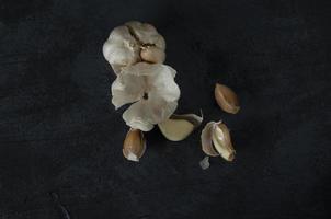 The garlic, garlic cloves and skin on the dark background. photo