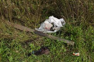 Garbage in the forest. Ecologic problem. photo