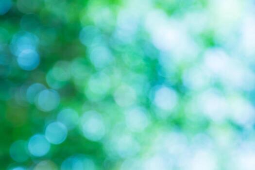Blurred green lights circular bokeh abstract for Christmas background photo