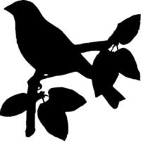 Vector silhouette of Bird on white background