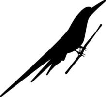 Vector silhouette of Bird on white background