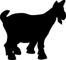 Vector silhouette of Goat on white background