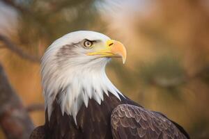 un cerca arriba de un águila con un borroso antecedentes. ai generado foto