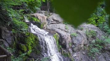 ein fließend Wasserfall im das Regenwald. das Wasserfall im das Wald ist fließt. video