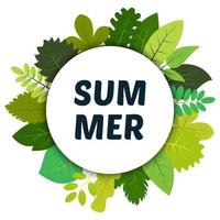 Green summer leaves under white round label and inscription summer. Vector card with green leaves isolated on white background