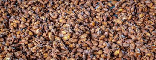 Fresh fermented cocoa beans are dried in the sun to make chocolate.Top view photo