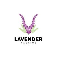 Lavender Logo, Hand Drawn Wedding Plant Design, Agriculture Vector, Symbol Illustration Template Icon vector