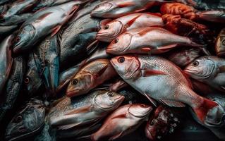 Fresh fish on the counter of a fish market photo