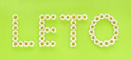 Word LETO means Summer in the Slovak language. Letters made of white daisies on bright light green background. Small chrysanthemums look like chamomiles. Hello summer concept. photo