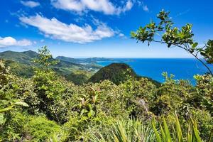 Tea tavern walk, view point over the ocean, Mahe Seychelles photo