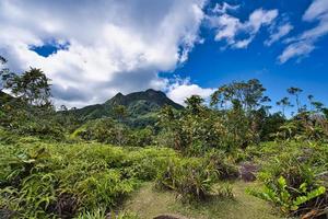 Tea tavern walk, from of ferns and seychelles highest mountain, morne Seychellois photo