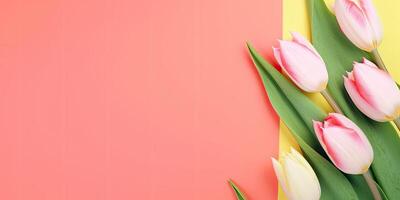 Flower setup on a solid background, with copy space, photo