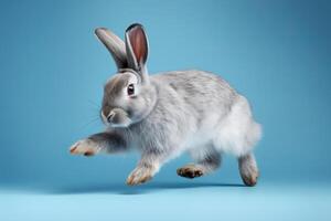 Cute Rabbit isolated on blue background. Created photo